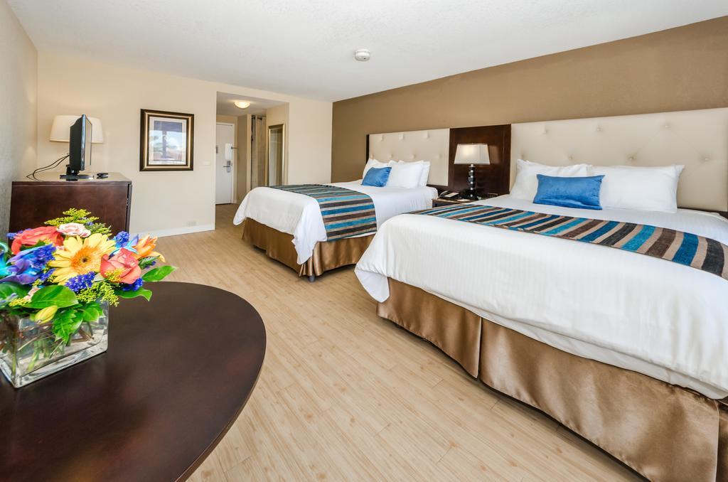 Dreamview Beachfront Hotel & Resort Clearwater Beach Buitenkant foto